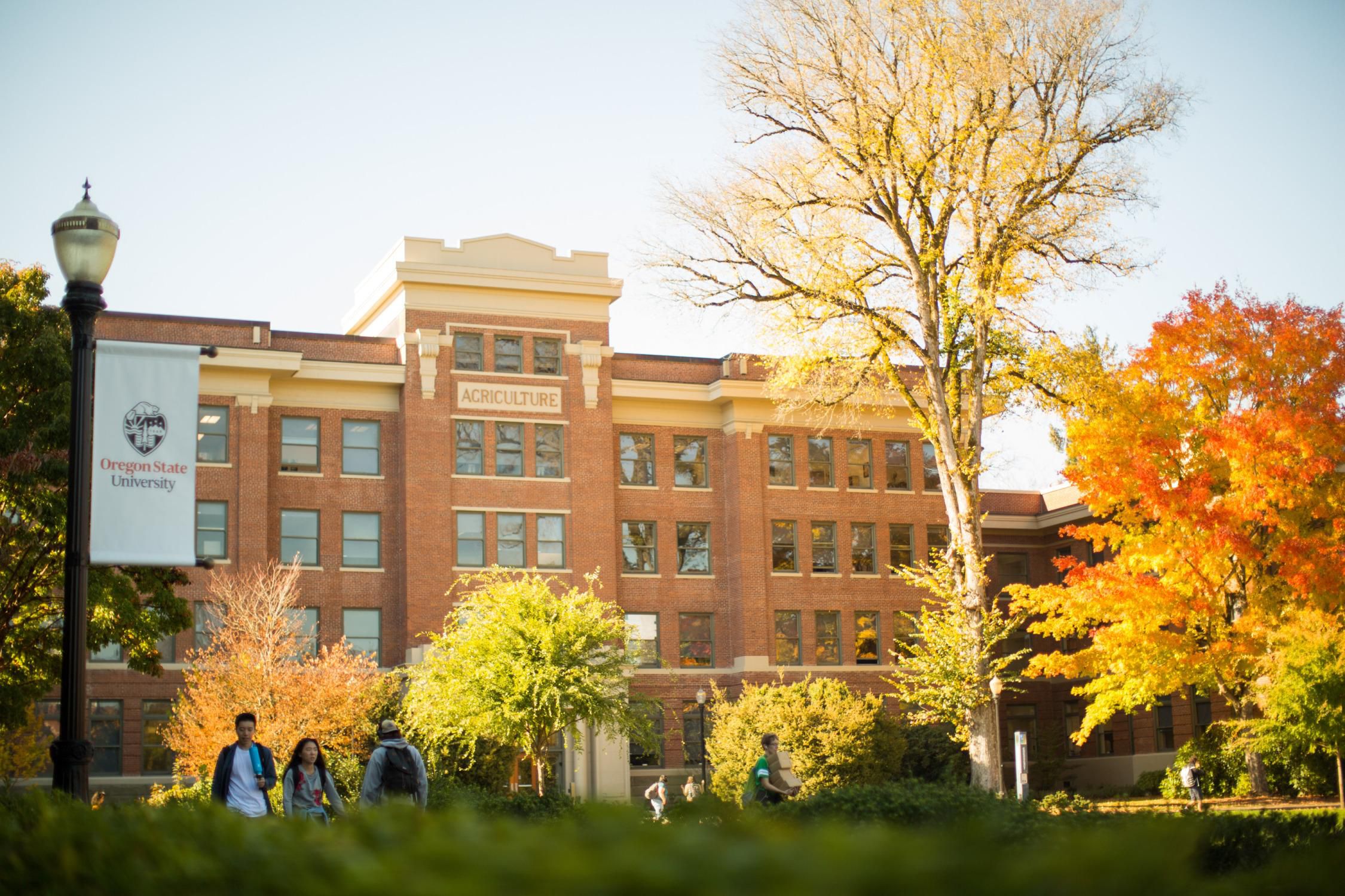 oregon-state-university - Online Associate's Degrees