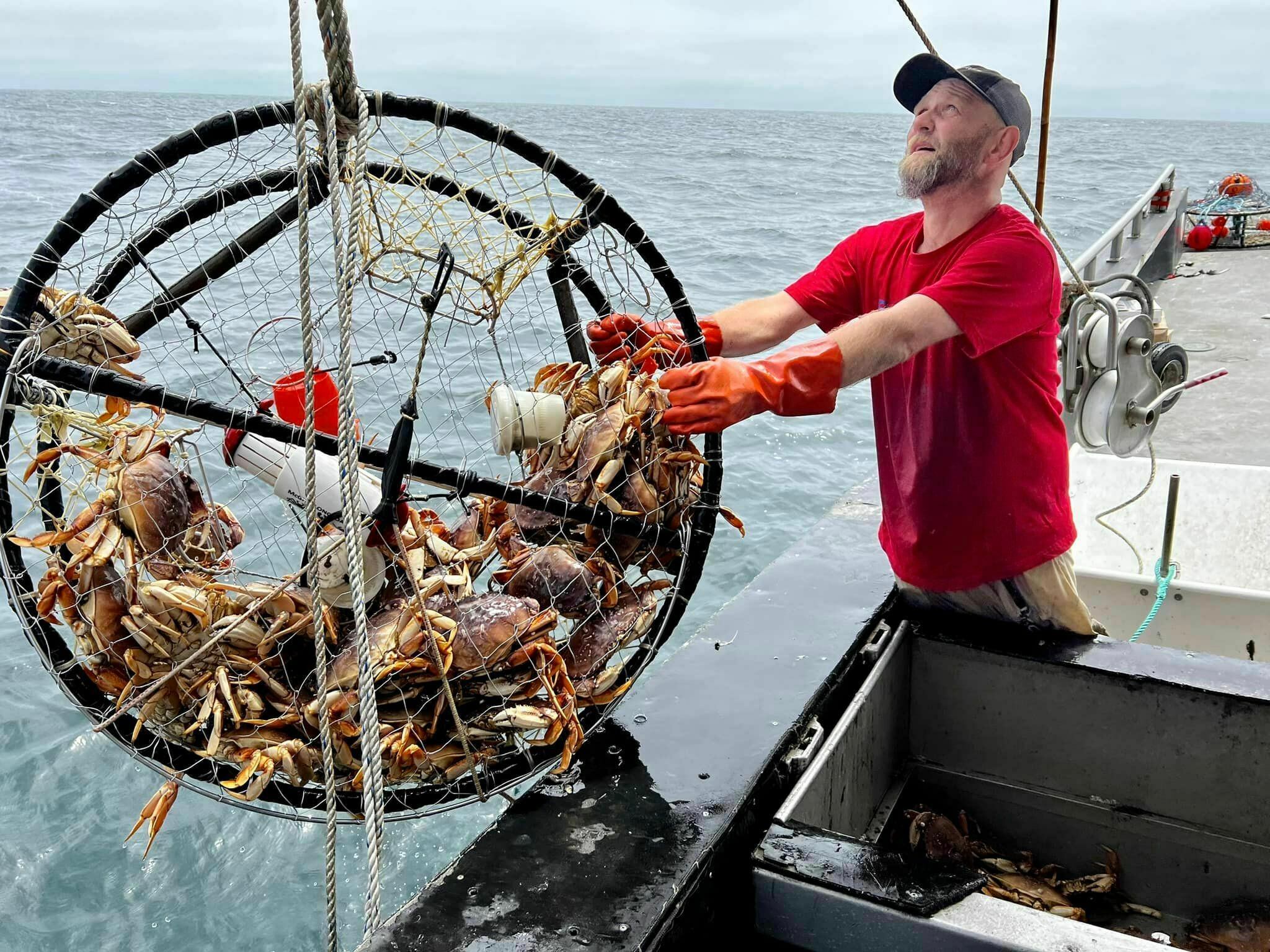 This fishing gear can help save whales. What will it take for