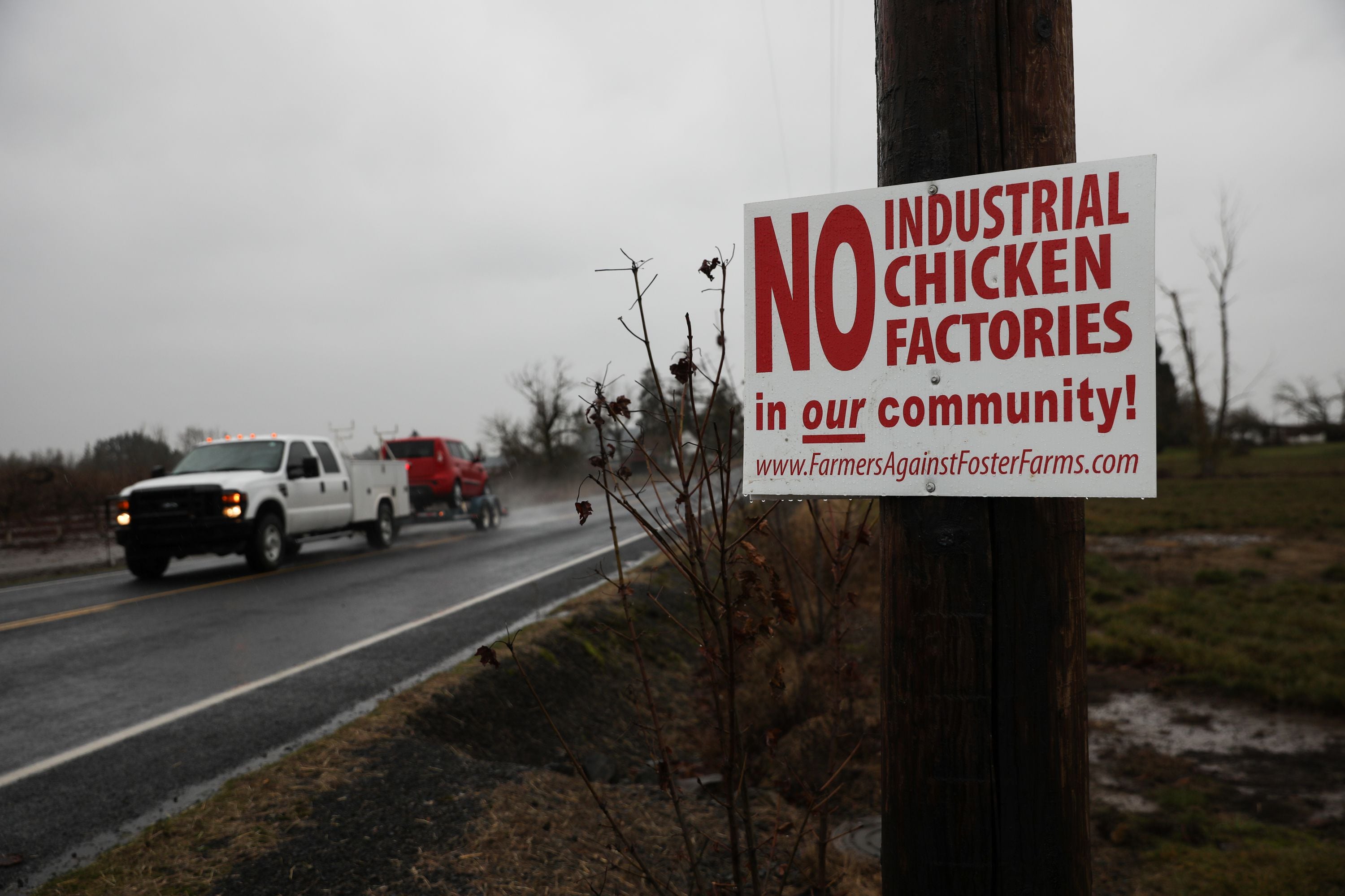 FILE: A sign declares opposition to large chicken grow-out facilities planned in Scio, Ore., east of Salem in this Dec. 9, 2022, photo.