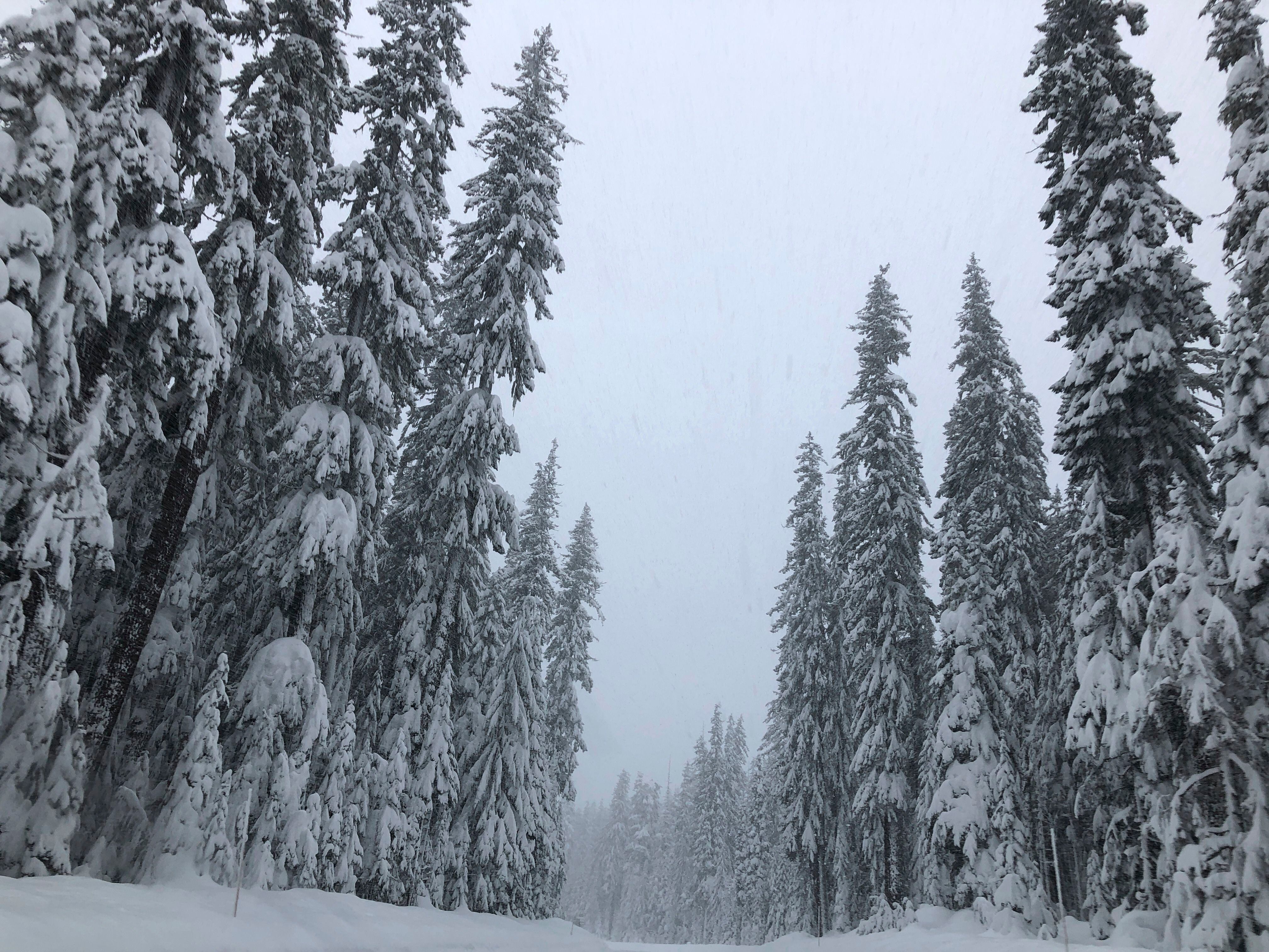 Heavy snow to fall on Northern Oregon Cascades, Upper Hood River Valley -  OPB