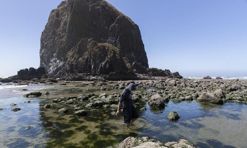 A young man shuffles through the tide pool in front of Haystack Rock in Cannon Beach, Ore. 