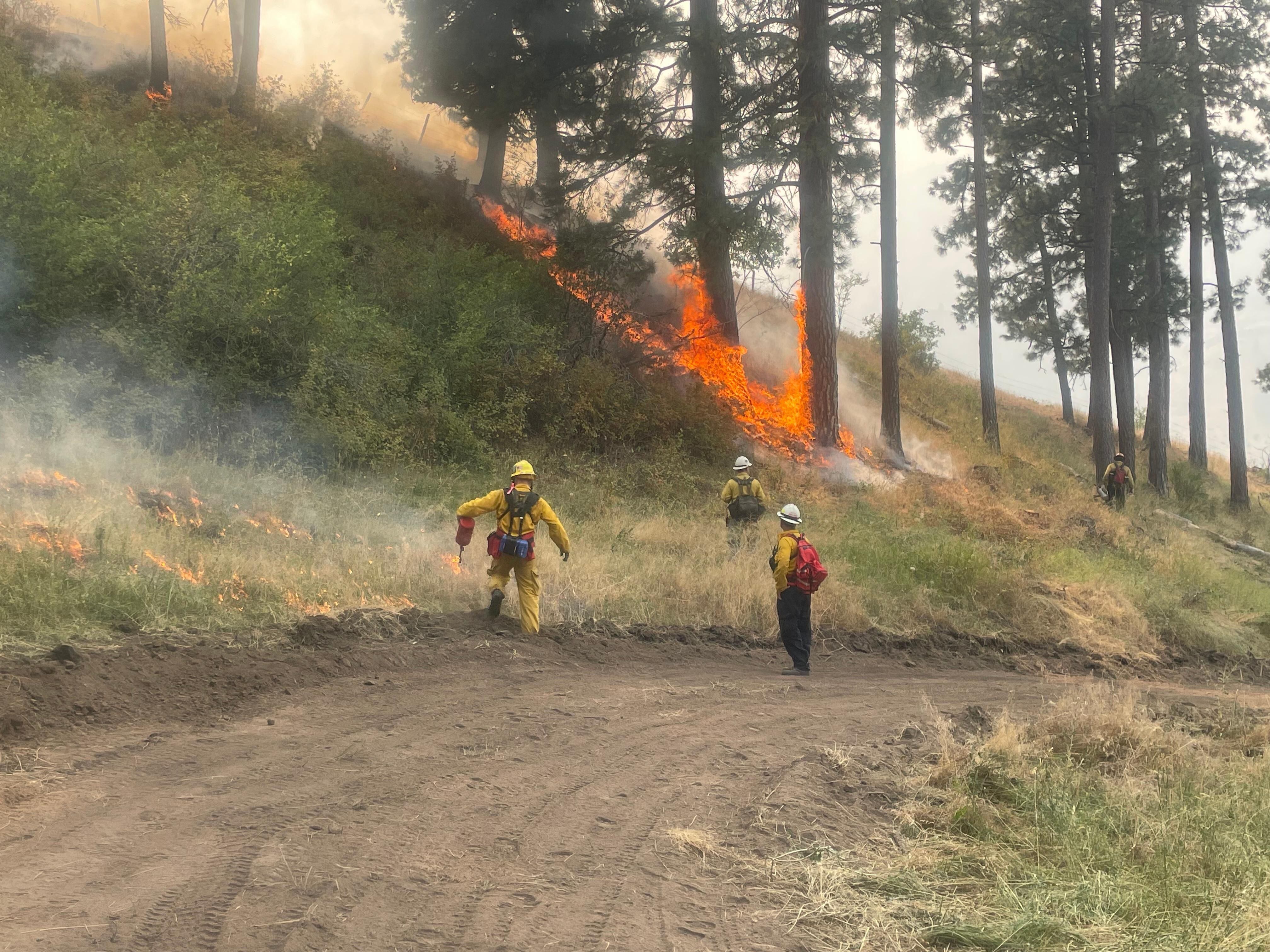 Burn out operations on Double Creek Fire on Sept. 4, 2022.
